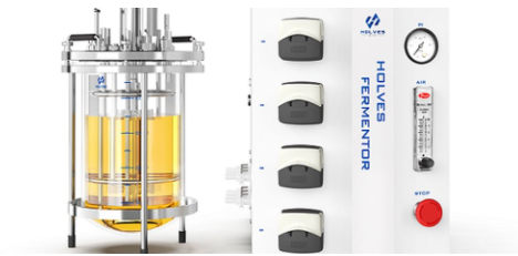 实验室91视频播放观看