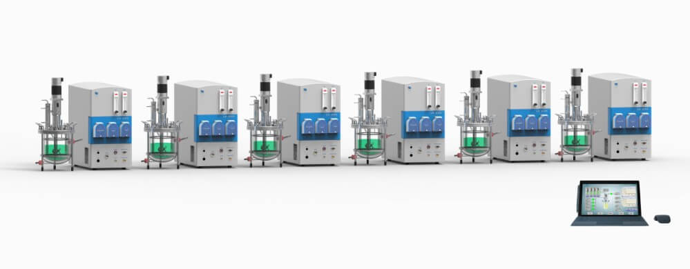 多联91视频播放观看