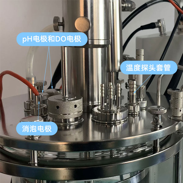 91视频播放观看传感器